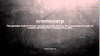 What does cremocarp mean [upl. by Radek447]