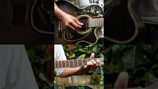 Honestly by harems karem shorts fingerstyleguitarcover guitarcover [upl. by Lait]