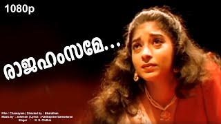 രാജഹംസമേ  Raajahamsame  Evergreen Malayalam Film Song  HD Video Song  Chamayam  K S Chithra [upl. by Johns404]