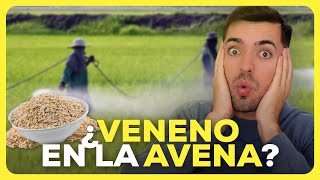 Los 6 MOTIVOS que te ALEJARÁN de la AVENA [upl. by Bal]