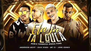 VAI MOSTRAR O PEITIN PRA MIM ELA JÁ TÁ LOUCA  ANDERSON NEIFF KAIO VIANA E MC CJ REMIX BREGA FUNK [upl. by Myrilla]