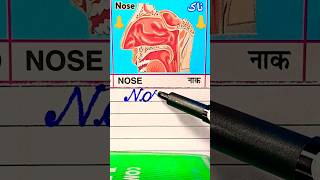 Human body parts  health  Healthful nose  biology nature science gk health nose new [upl. by Iduj]