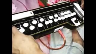 Special Bulbul Tarang Electric Banjo Banjo [upl. by Aivuy]