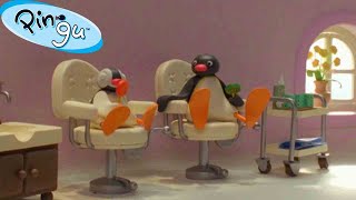 Pingu is on Vacation 🐧  Pingu  Official Channel  Cartoons For Kids [upl. by Drusie]