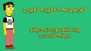 EXERCICE 1 MELANGESET CORPS PURS 2ND S SYNTHESE [upl. by Millisent205]