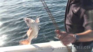 Snapper Fishing  December 2010 Wallaroo and Port Hughes [upl. by Rivi]