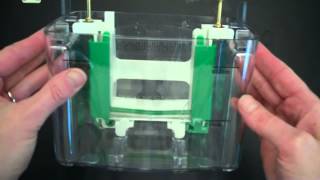 SDS PAGE Part 1 Assembly and Electrophoresis [upl. by Notled153]