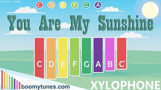 You are my Sunshine  XYLOPHONE Play Along [upl. by Haas132]