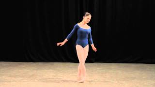 Insight Ballet Glossary  Arabesques [upl. by Razal750]