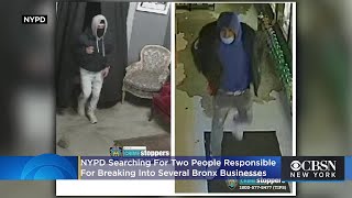 Police Burglars Break Their Way Into Bronx Businesses Steal Alcohol Candy And Cash [upl. by Dlonyar]