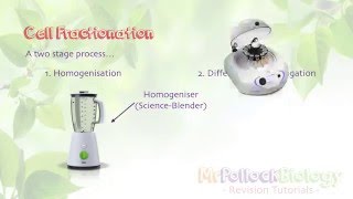 Cell Fractionation New AQA ASA Level [upl. by Eimas]