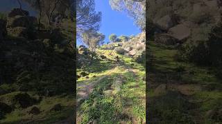 Salgo de ruta y me encuentro a dos endureros🤣mtb enduro rally cycling ciclismo [upl. by Aihn]