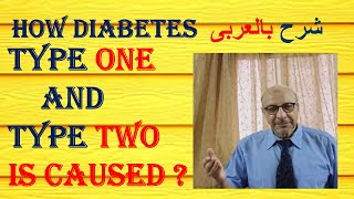 Diabetes type 1 vs type 2 شرح بالعربى [upl. by Vieva]