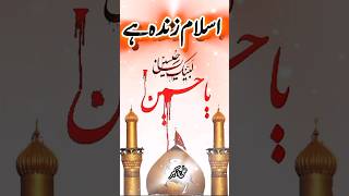 ya Husain ya aliyahussainyaalishortsviralstatusmuharram2024muharramtrendingvideoislamali [upl. by Anawqahs]