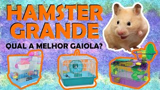 GAIOLA PARA HAMSTER GRANDE 🐹  QUAL O TAMANHO MÍNIMO 🤔🔎 [upl. by Garges]