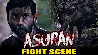 Asuran Best Scene  Dhanush  Pig Fight Scene  Asuran In Hindi  National Award [upl. by Alejandra818]