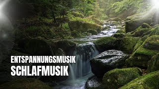 3 Stunden Entspannungsmusik amp Naturklänge  Wasserfall amp Flussgeräusche für Meditation und Schlaf [upl. by Marin667]