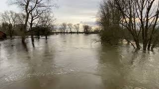 MüdenAller  Hochwasser AllerOker Mündung am 28122023 [upl. by Audette]