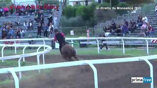 Giostra della Rocca 2014 [upl. by Publea]