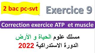 2 bac svt pc CORRECTION exercice 9 svt  ATP et muscle normale PC 2022 [upl. by Ttehc792]