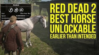 Red Dead Redemption 2 Best Horse UNLOCKABLE EARLY All Horse Spawn Location RDR2 Best Horse [upl. by Alin987]