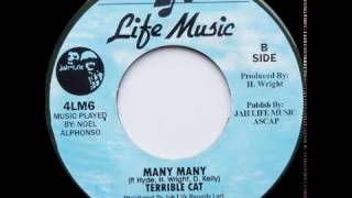 Terrible Cat  Many Many Jah Life 1997 [upl. by Ainosal]