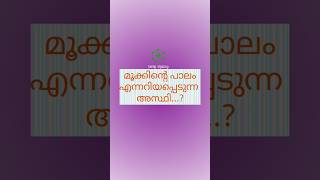 മൂക്കിന്റെ പാലം എന്നറിയപ്പെടുന്നത്👃👃👃👃👃🔴🔴🔴🔴 [upl. by Stew]