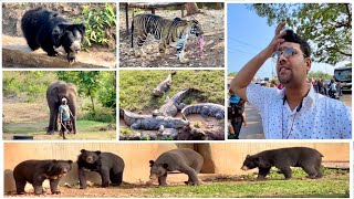 बहुत ही बढ़िया अनुभव ओड़िशा का Bhubaneswar Orissa Tour Zoo in Bhubaneswar [upl. by Yanahs121]