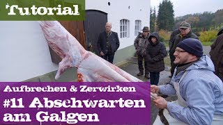 11 Abschwarten am Galgen  Schwarzwild  Lehrgang Aufbrechen amp Zerwirken [upl. by Netsrejk]