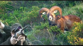 Hunting Mouflon in Croatia  on island Dugi Otok [upl. by Alyakcm]