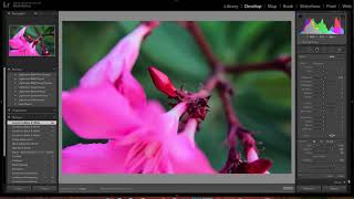 Adobe Photoshop MAC OS Cursor flickering [upl. by Thomey]