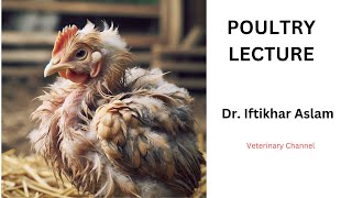 Coccidiosis in Poultry Understanding and Preventing this Deadly Disease [upl. by Gnaig]