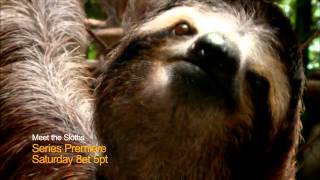 MEET THE SLOTHS is coming to Canada on the 23rd November [upl. by Akinad997]