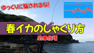 春エギング攻略！ゆっくりに騙されるな！春イカ狙いのしゃくり方伝授！プロから学ぶエギング講座 [upl. by Uball]