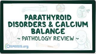 Parathyroid disorders and calcium balance Pathology Review [upl. by Loralyn]