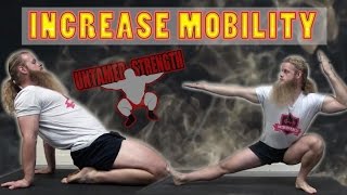 Daily Mobility Routine  Increase Flexibility  Mobility [upl. by Weinstock]