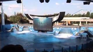 SeaWorld Orlando Believe Inc PreShow Complete [upl. by Nerek]