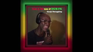 EEKAMOUSE x DUB FX • GANJA SMUGGLING Dubplate  High Vibes Productions [upl. by Airan]