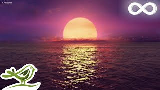 8 Hours of Relaxing Sleep Music Ocean Waves Relaxing Music Sleeping Music Calming Music ★146 [upl. by Flanders]