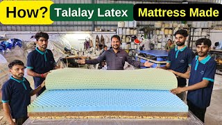 How Talalay Latex Mattress Made in Factory The Mattress Company Manufacturing Plant [upl. by Gittle805]