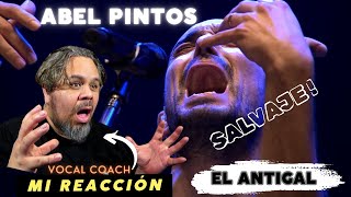 ABEL PINTOS EL ANTIGAL VOCAL COACH REACCIONA abelpintos elantigal reaccion [upl. by Gaal782]