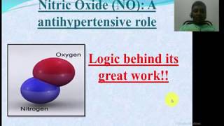 Nitrous Oxide decreases your Blood PressureInteresting to know its biochemical reason [upl. by Desberg]