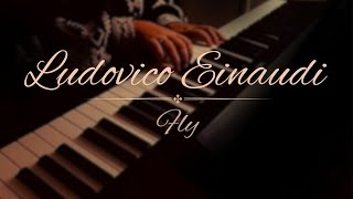 Fly  Ludovico Einaudi Relaxing Piano Music [upl. by Dennie861]