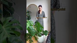 Let’s add a coco choir pole to my monstera mosspole monsteradeliciosa howto [upl. by Annovoj]