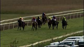 Mudgee race 5 15 June 2024 [upl. by Sirama]