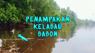 Fish FishingMancing Ikan Belum rezekinya next trip kita goyang lagi spot ini [upl. by Emawk270]