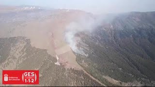 Incêndio na ilha espanhola de Tenerife está estabilizado afirmam autoridades  AFP [upl. by Iddet919]