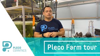 Plecoceramics Pleco Farm tour [upl. by Raffaello298]