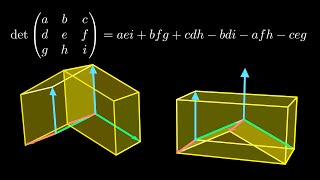 Why is the determinant like that [upl. by Anaujd]