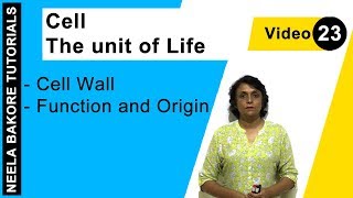 Cell  The Unit of Life  NEET  Cell Wall  Function and Origin  Neela Bakore Tutorials [upl. by Aicenad]